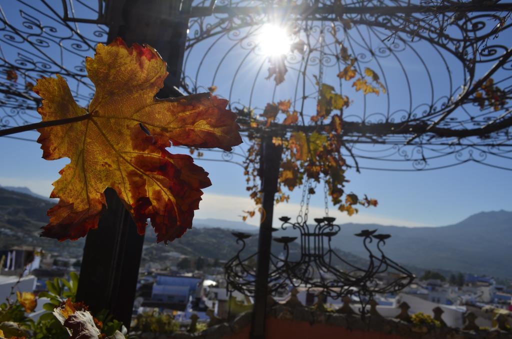 Dar Meziana Panzió Chefchaouen Kültér fotó